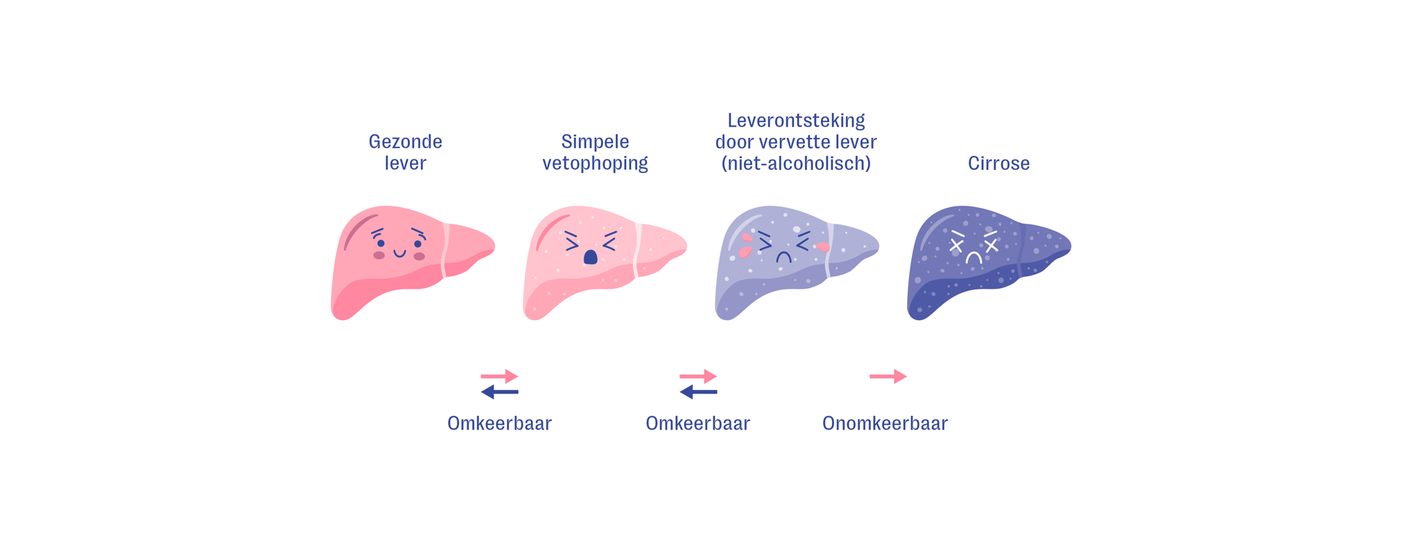 Er ligt meer op je lever dan je promo denkt